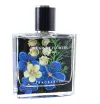 Blue Tender Encounter Perfume Body Fragrance Long-lasting Light Scent Blue Rose Perfume undefined